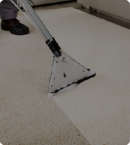 carpet cleaning services