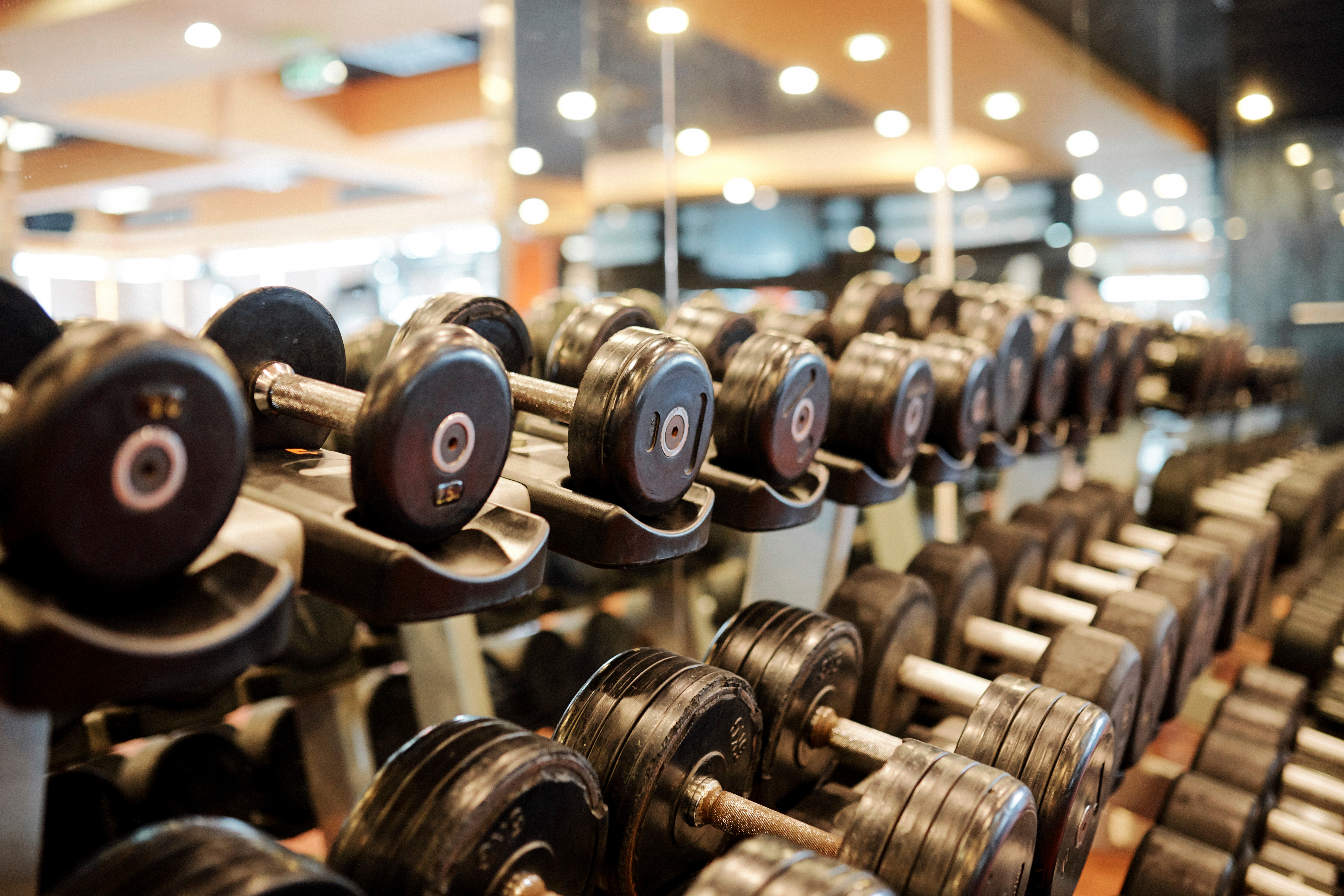 Weights racked at a gym