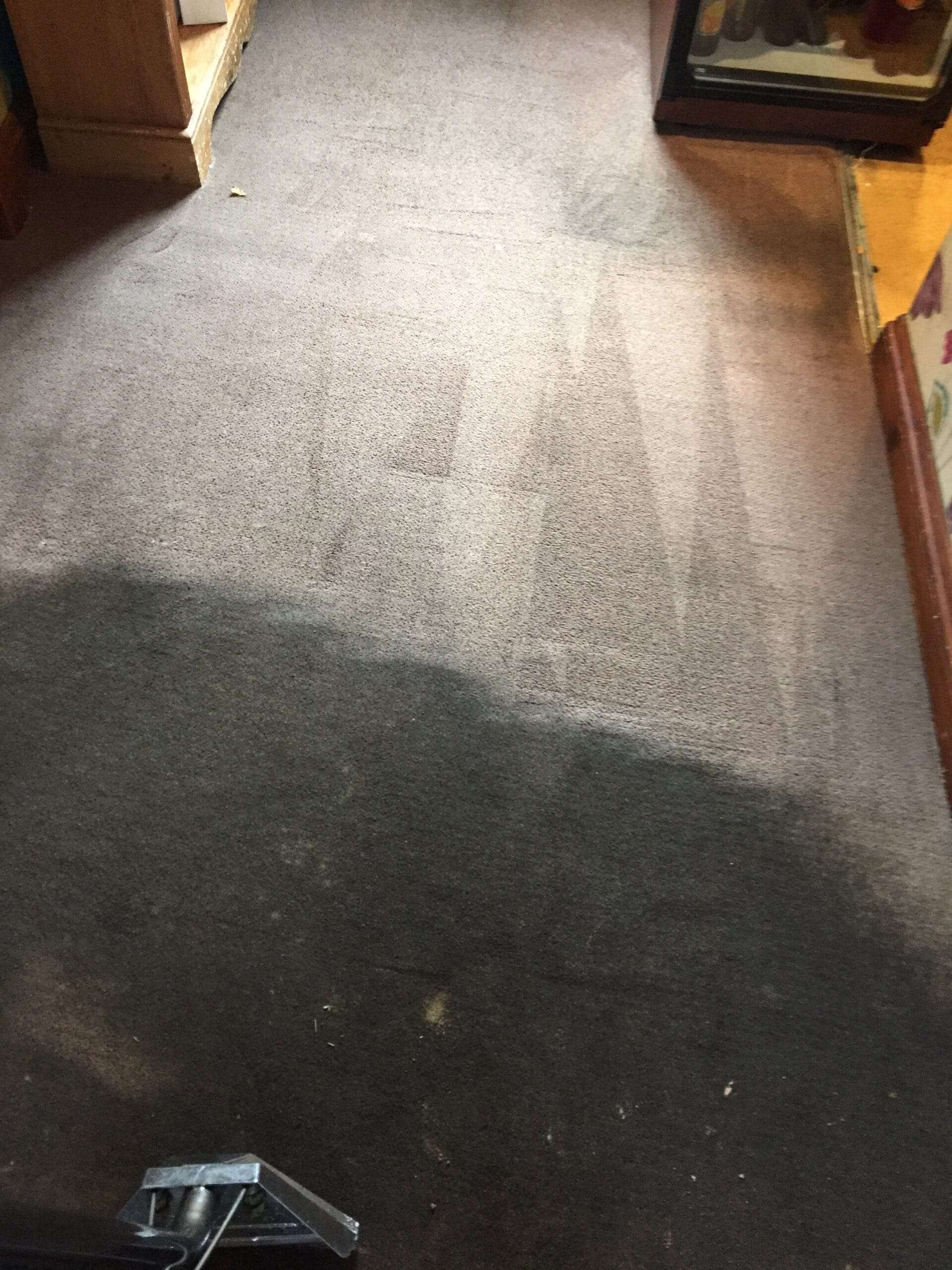 Floor cleaning services